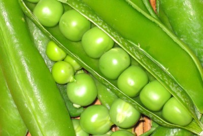 peas in a pod