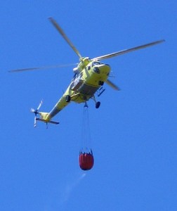 one of four or five on the scene