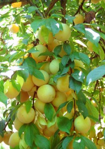 How many can you count?!