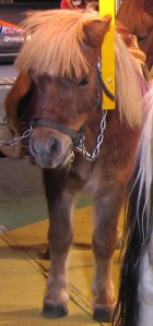 Carousel pony waits for rider