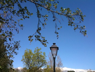 mountains, lamp post, alder tree