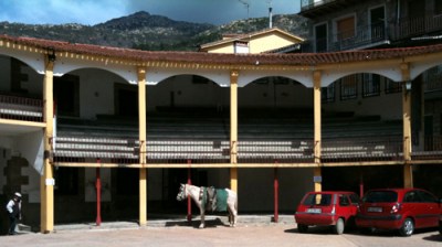 pony alongside parked cars in bull ring