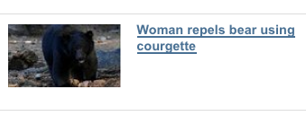 Headline - Woman repels bear using courgette