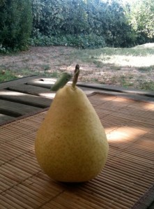 pear on table