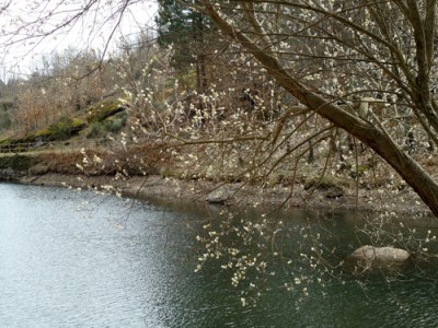 Reservoir, February 2011