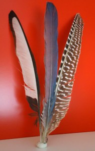 three feathers three feathers