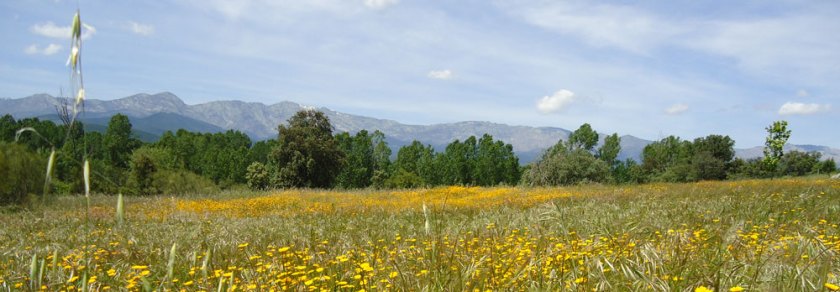 Gredos mountains, Spain Gredos mountains, province of Ávila