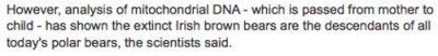 bbc-polar-bear-dna BBC quote