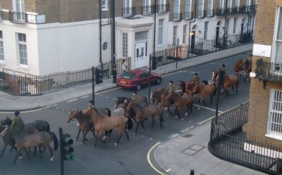 police horses, London
