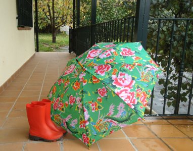 red wellingtons & floral umbrella
