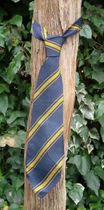 School tie knotted round vine trunk