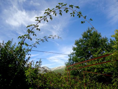 Late summer scenery, Gredos