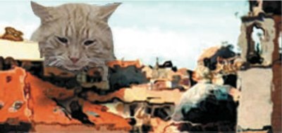 Cat apocalypse collage