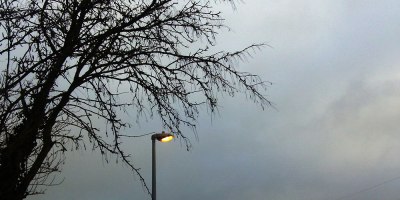 street lamp and winter tree
