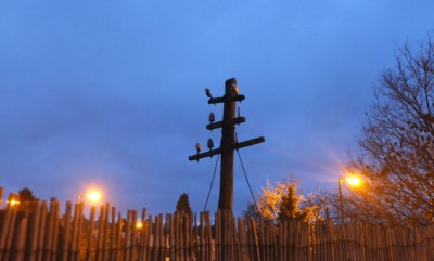 Telegraph pole silhouetted against sky at daybreak