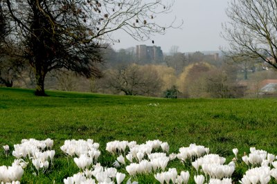 Abbey Field and Kenilworth Castle
