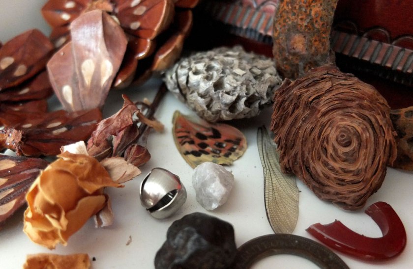 collection of small brown objects