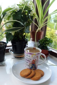 coffee and ginger biscuits