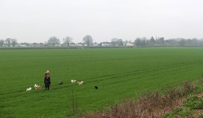 Dog walkers