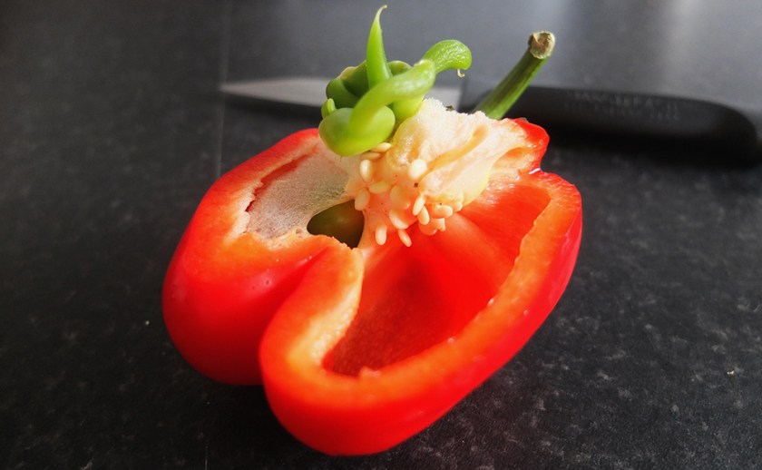 red bell pepper cut through centre