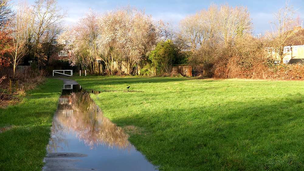 the road not&nbsp;taken…