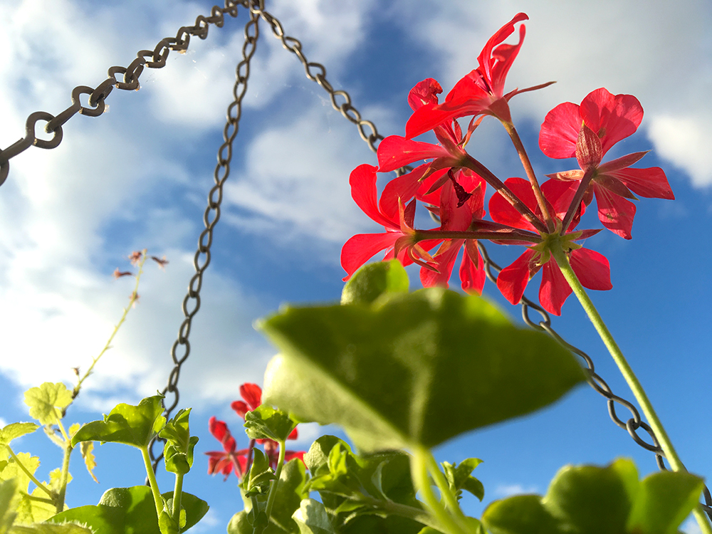 the sound of&nbsp;clouds