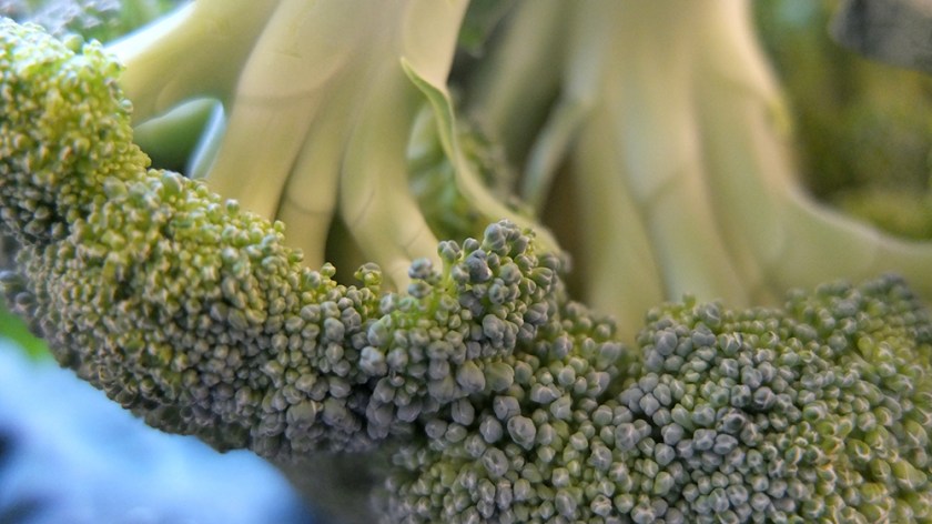 broccoli close up