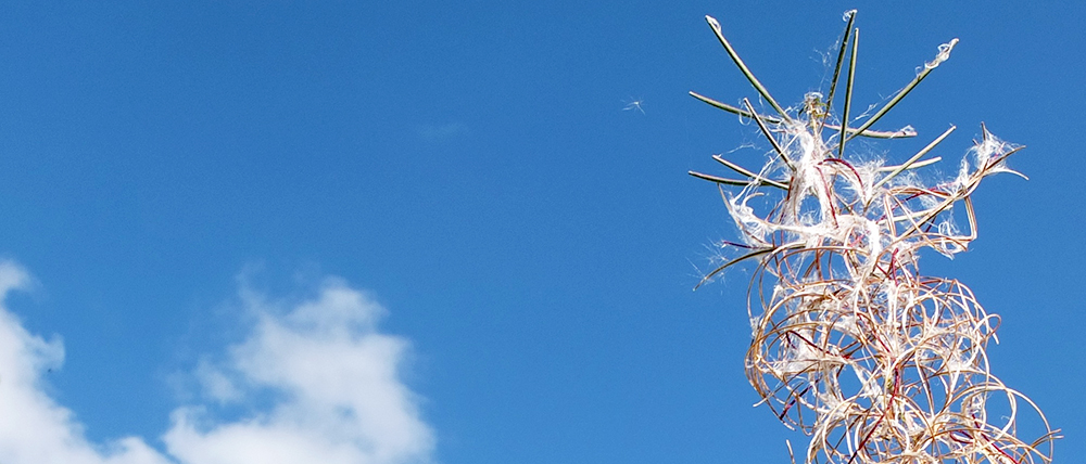 the origin of&nbsp;clouds