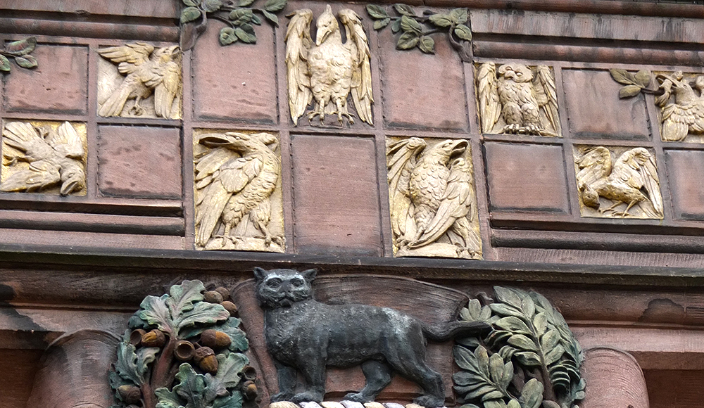 roost, rooster, roostest