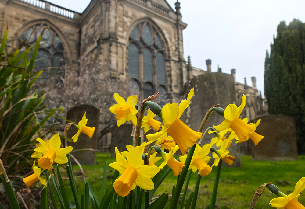 mothers and daughters