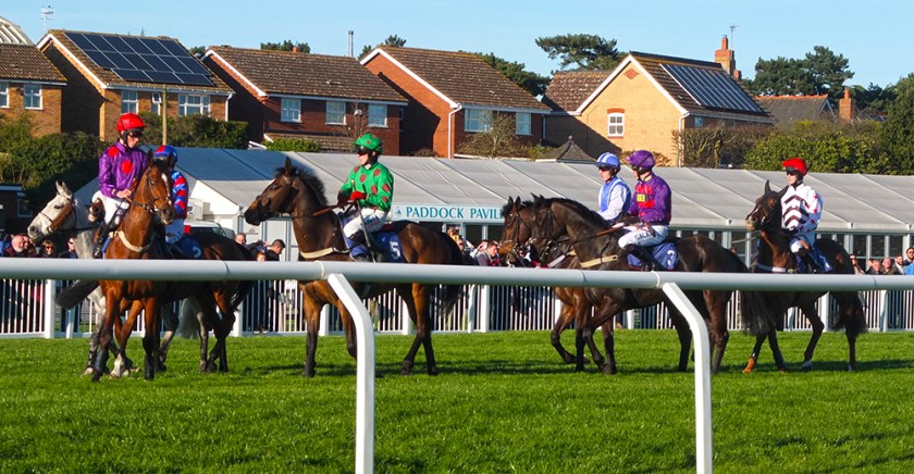 horses warming up before race