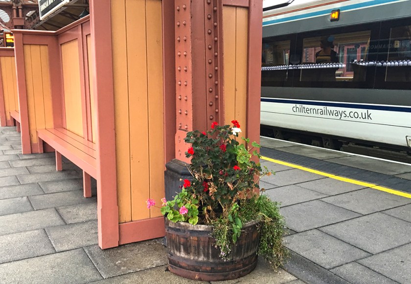 Tub of flowers on station platform