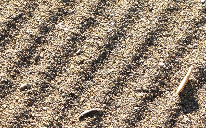 sand