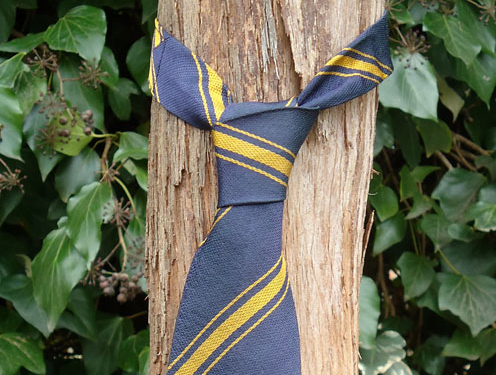 school tie tied round vine trunk