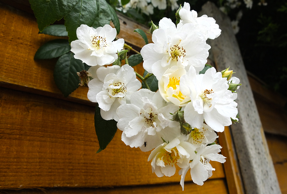 getting down to&nbsp;work