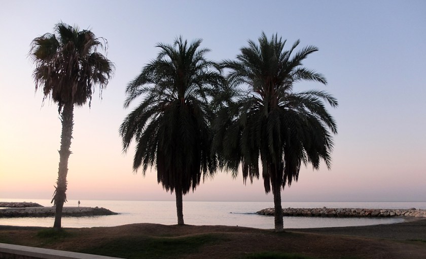 Palm trees. sunrise over the Mediterranean. 