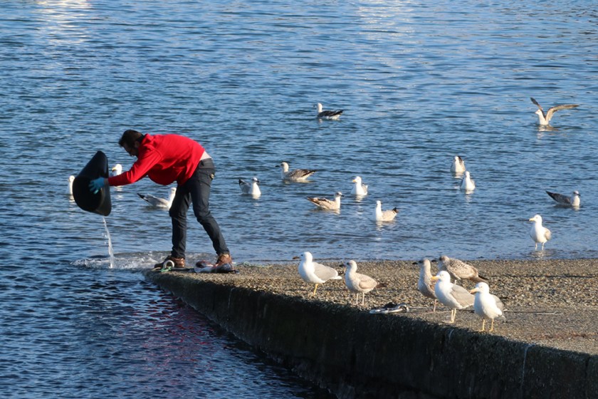 fisherman cleaning small shark-like fish