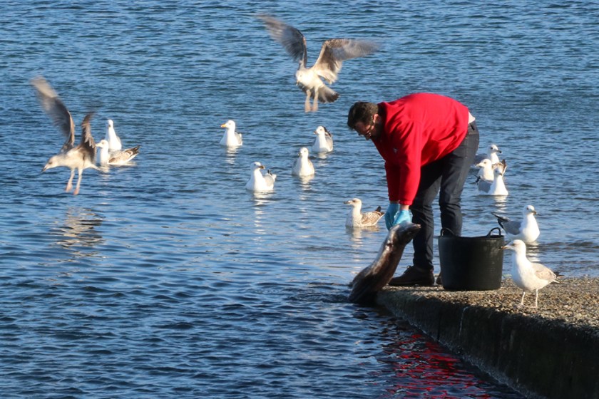 fisherman cleaning small shark-like fish