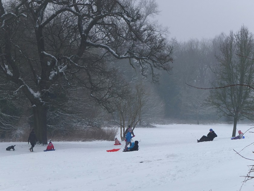 families sledging in snowy park