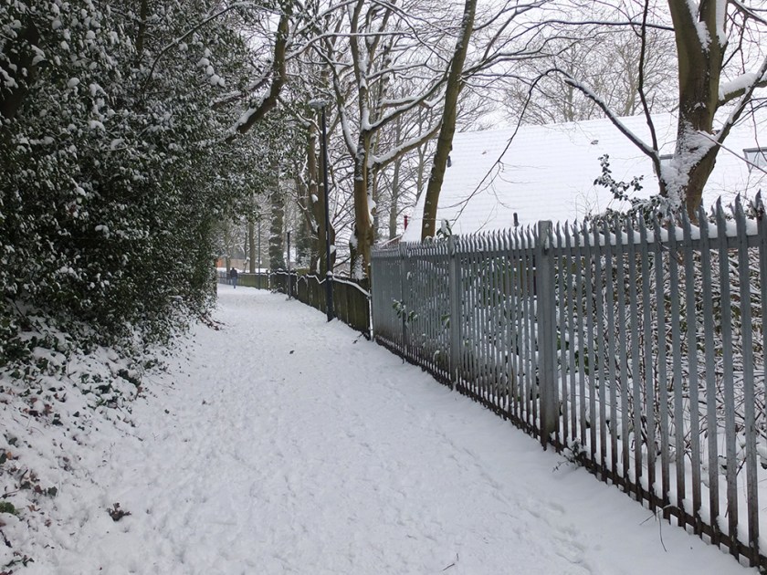 snowy path with railings