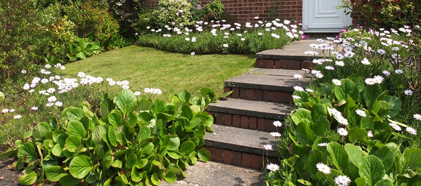 garden steps