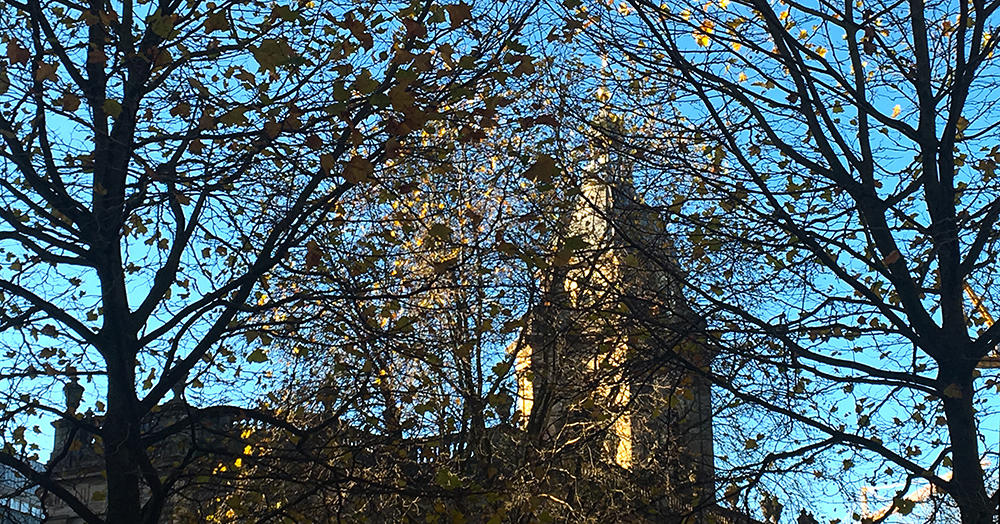 a different perspective