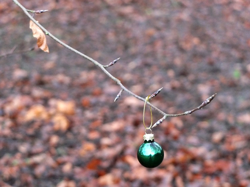 single green Christmas bauble on bare tree branch