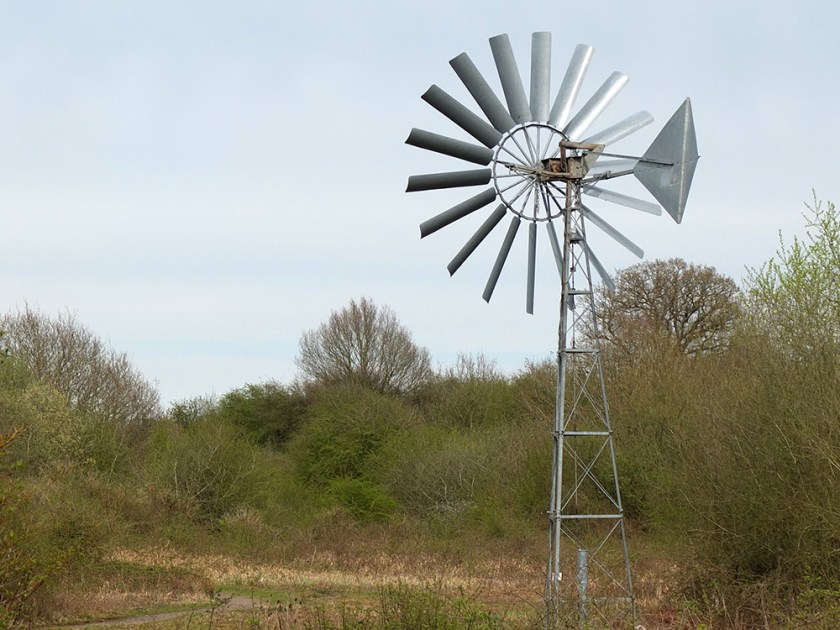 windmill