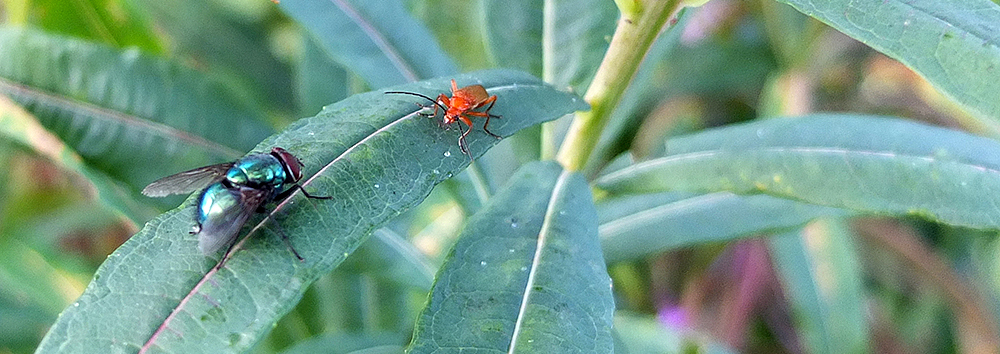 “there was an old&nbsp;lady…