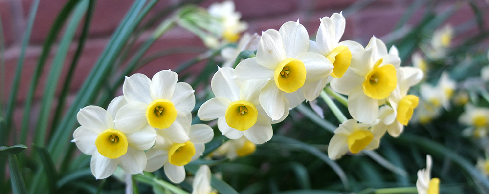 the same but&nbsp;different