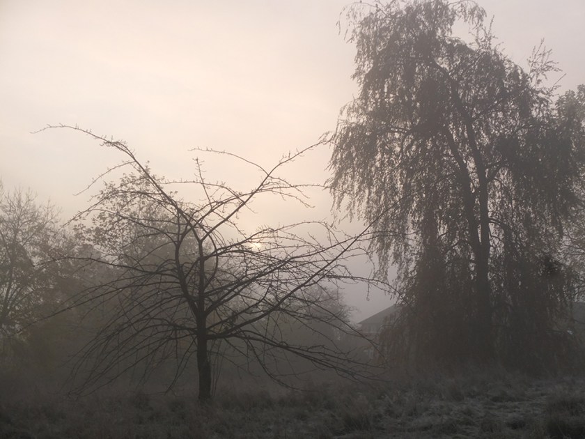 Misty autumn morning
