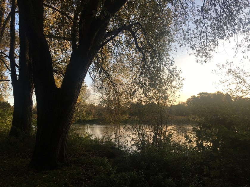 autumn trees on river bank