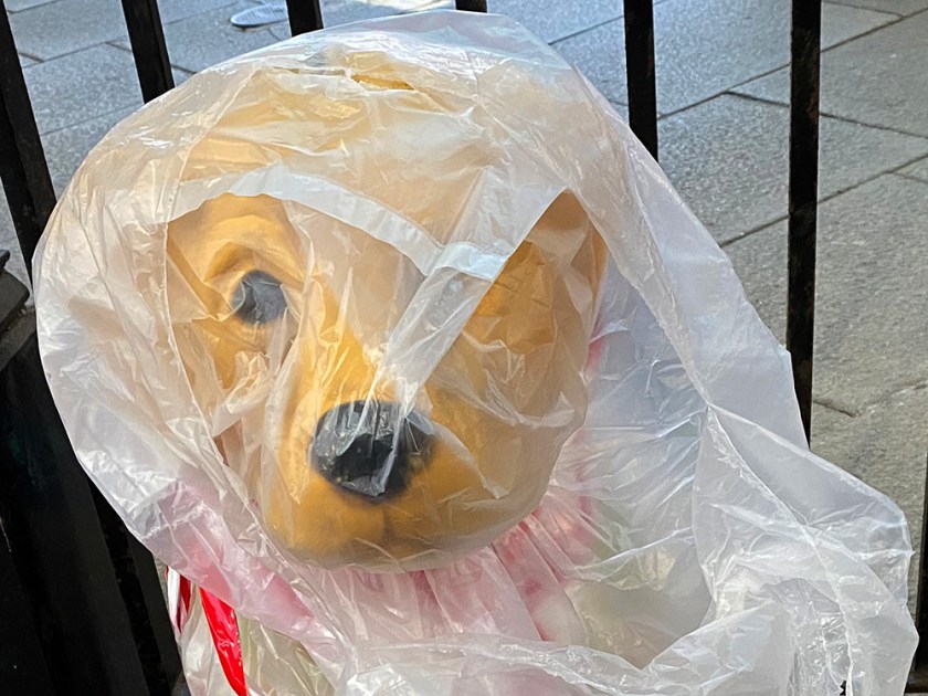 guide dogs for the blind collection box wrapped in plastic