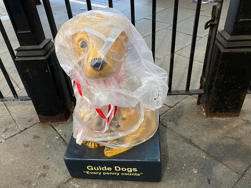 guide dogs for the blind collection box wrapped in plastic